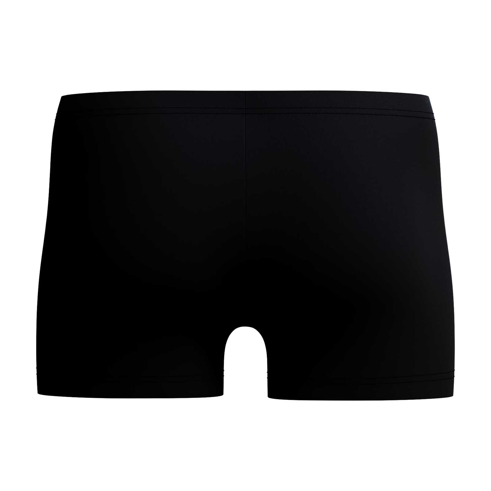 Boxeri inot barbati Speedo Medley Logo Aquashort negru - rezistenti la clor, EnduraFlex [1]