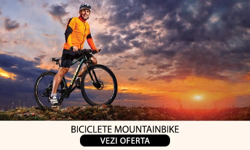 BICICLETE MOUNTAINBIKE