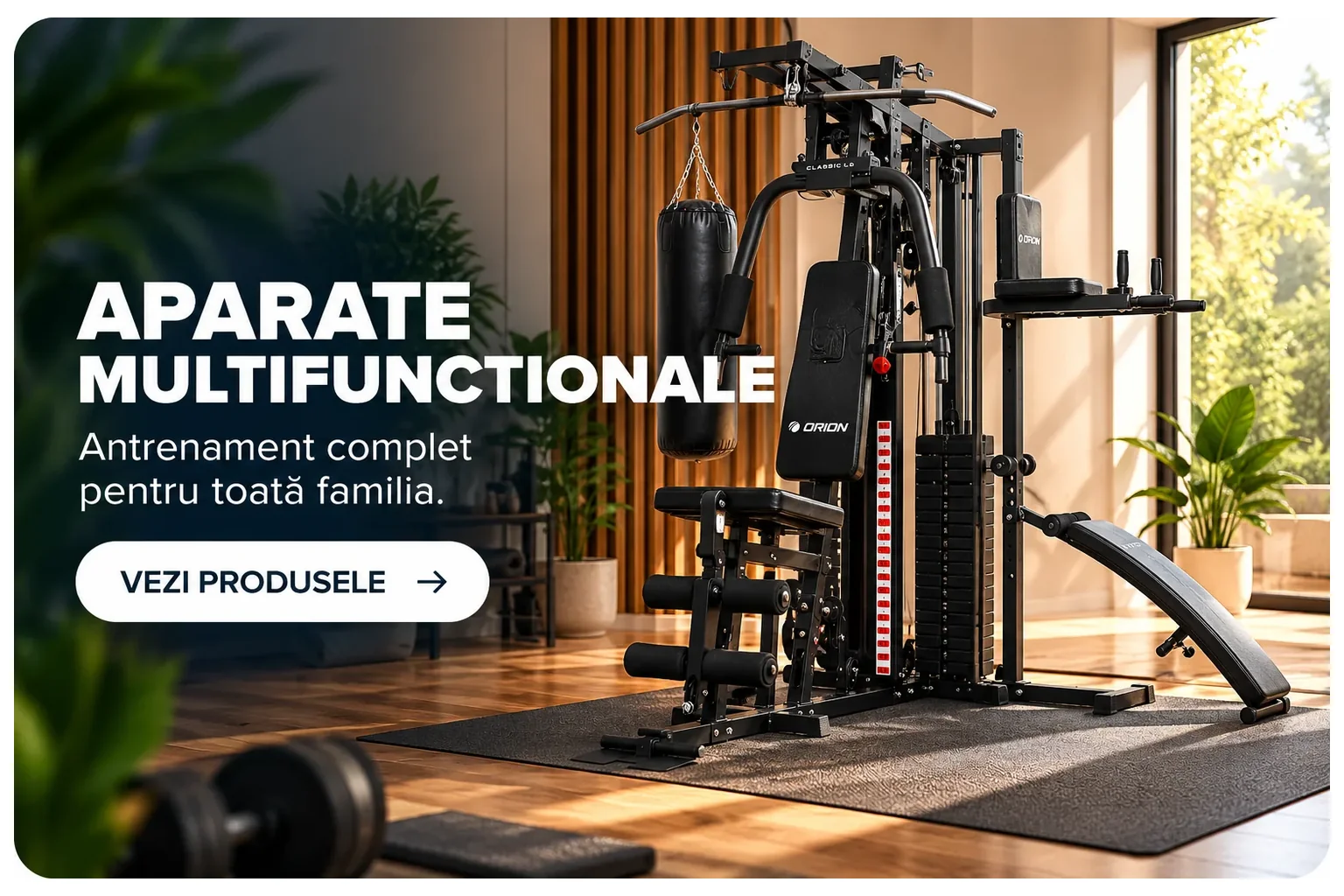multifunctionale
