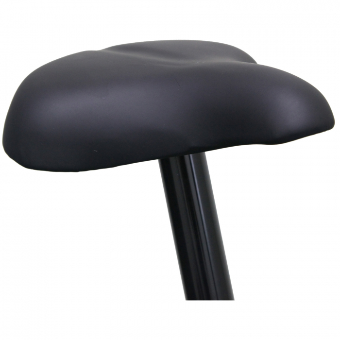 Bicicleta magnetica Orion Joy L6 [4]
