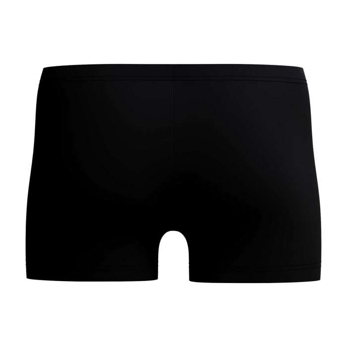 Boxeri inot barbati Speedo Medley Logo Aquashort negru – rezistenti la clor, EnduraFlex [4]