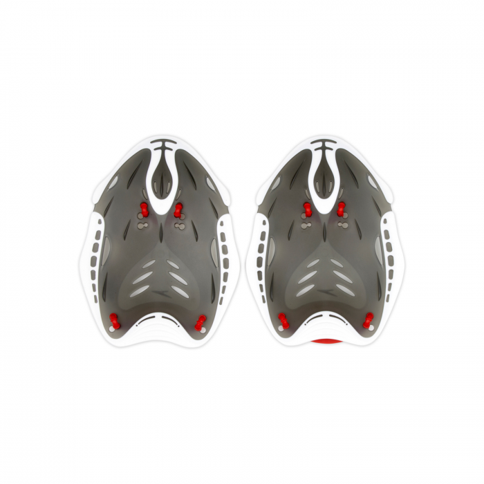 Palmare Speedo biofuse power [3]