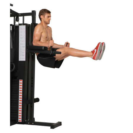 Aparat multifunctional fitness Lotti Classic L2 [14]