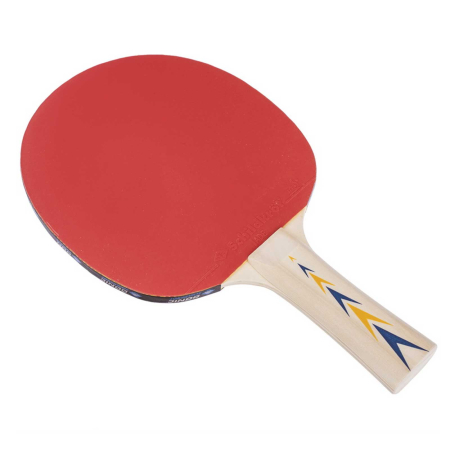 Paleta tenis de masa Donic Appelgren 300 [3]