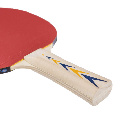 Paleta tenis de masa Donic Appelgren 300 [1]