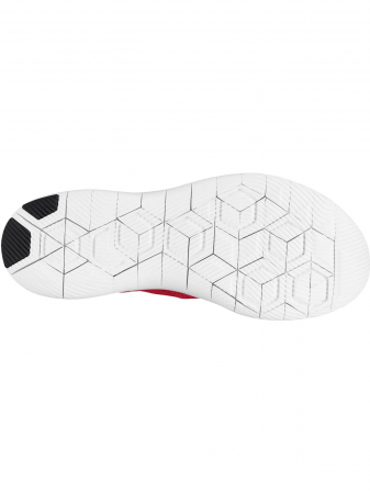 Pantofi sport barbati Nike FLEX CONTACT [1]
