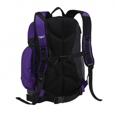 Rucsac SPEEDO TEAMSTER mov [1]