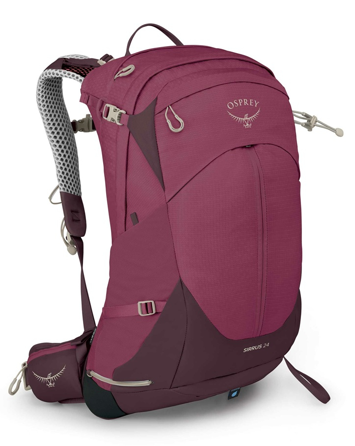 osprey 24 eldelberry purple [1]
