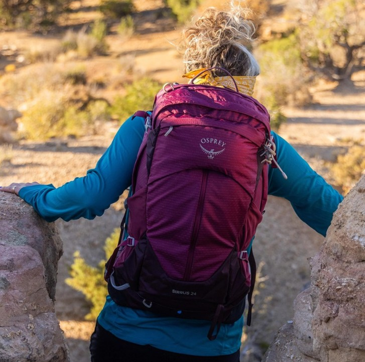 osprey 24 eldelberry purple [6]