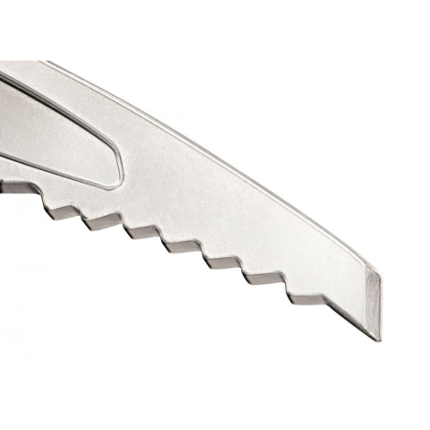 glacier literide [1]