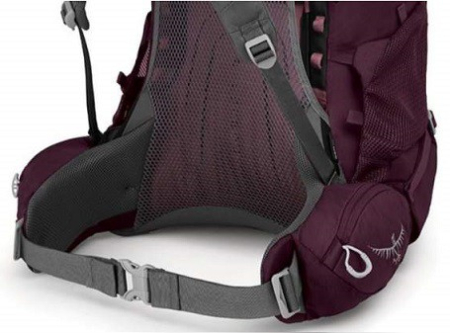 Rucsac Renn 50 Litri Violet [9]