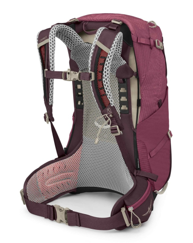 osprey 24 eldelberry purple [2]