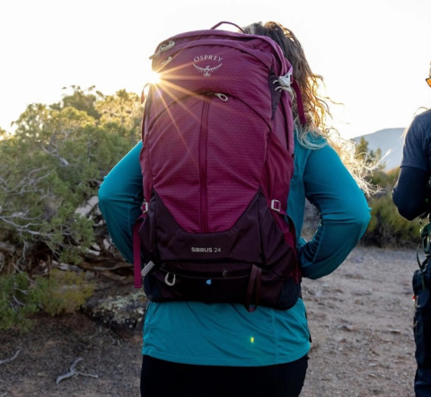 osprey 24 eldelberry purple [4]