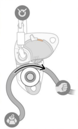 Scripete Autoblocant Petzl Pro Traxion [3]