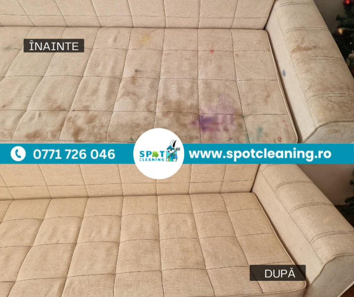 Curățare canapele textile la domiciliu – Spot Cleaning București & Ilfov [6]