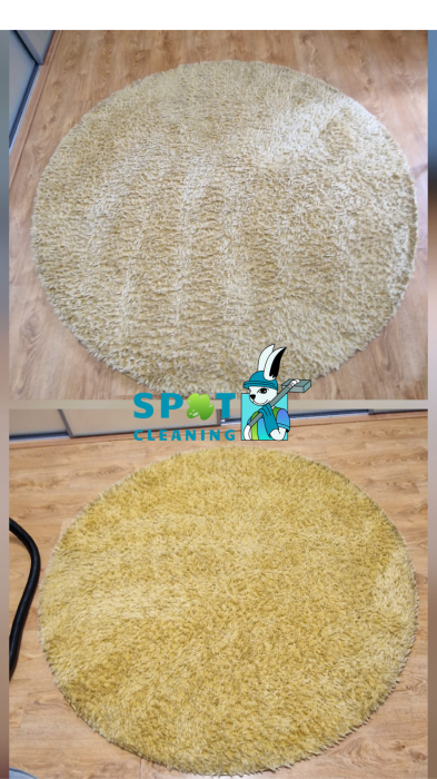 Curățare mochetă, covor și carpetă la domiciliu – Spot Cleaning București & Ilfov [3]