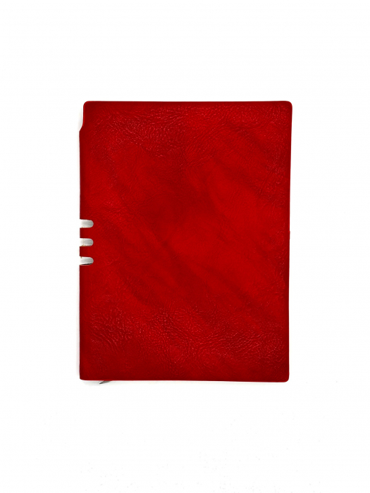 Agenda din piele turquoise [1]