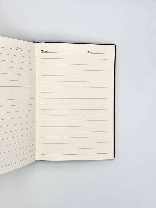 Agenda din piele turquoise [2]