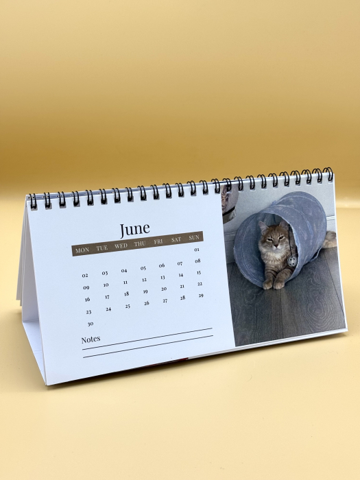 Calendar Personalizat de birou [3]