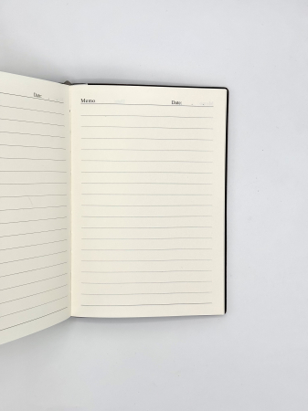 Agenda din piele turquoise [1]