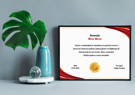 Tablou Personalizat pentru viitori pensionari - Tablou personalizat - mesaj de pensionare