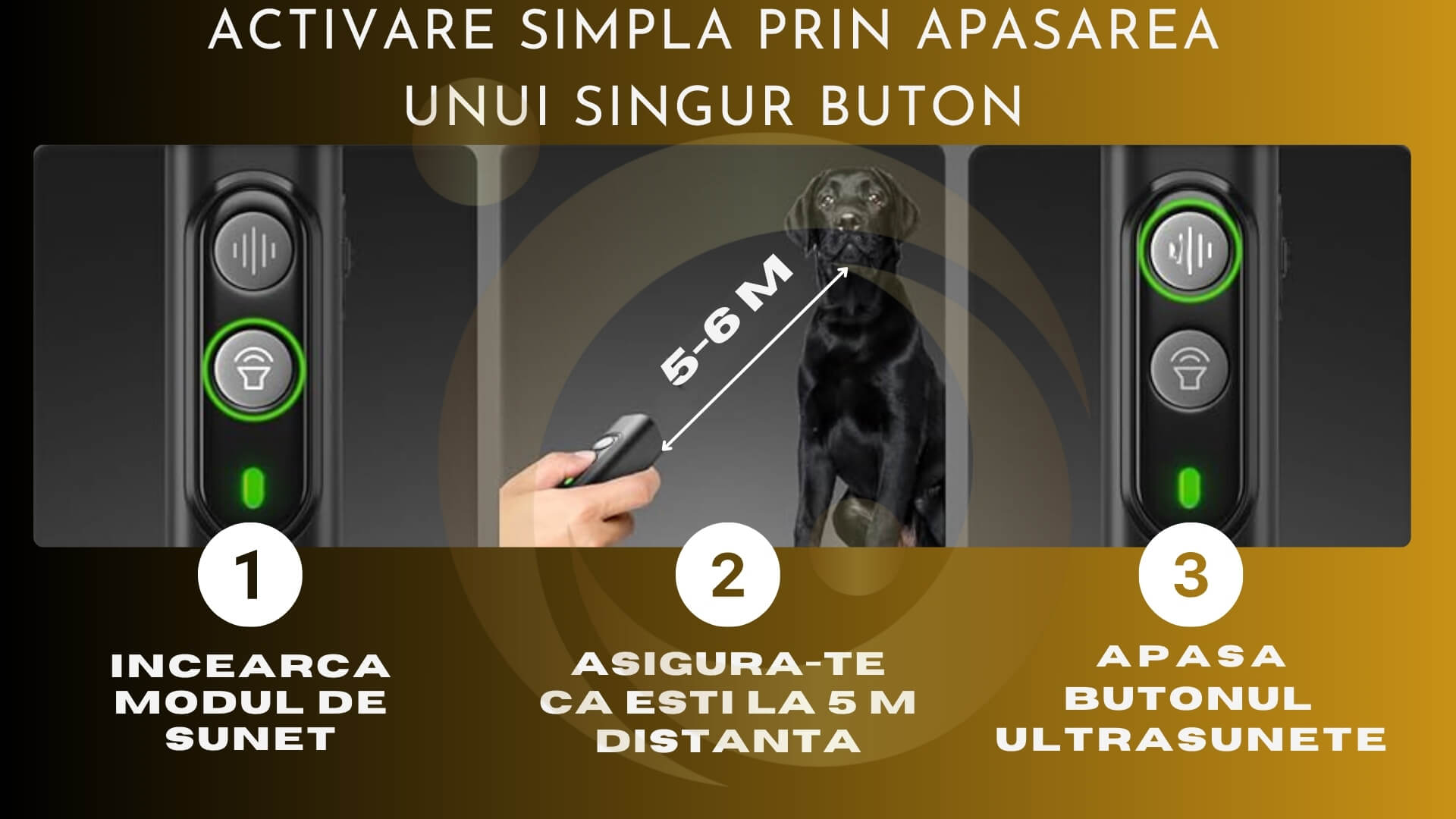 anti caini si anti latrat