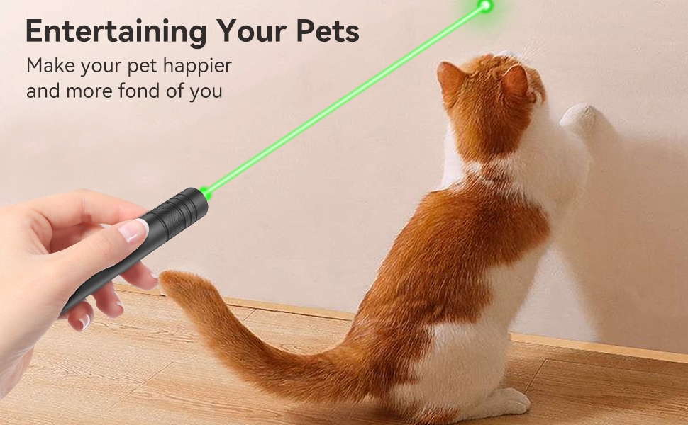 Laser Pointer