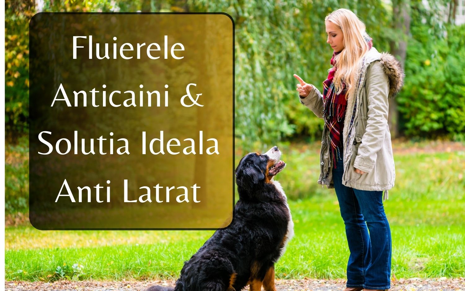 Sunt Fluierele Anti Caini Solutia ideala anti latrat?