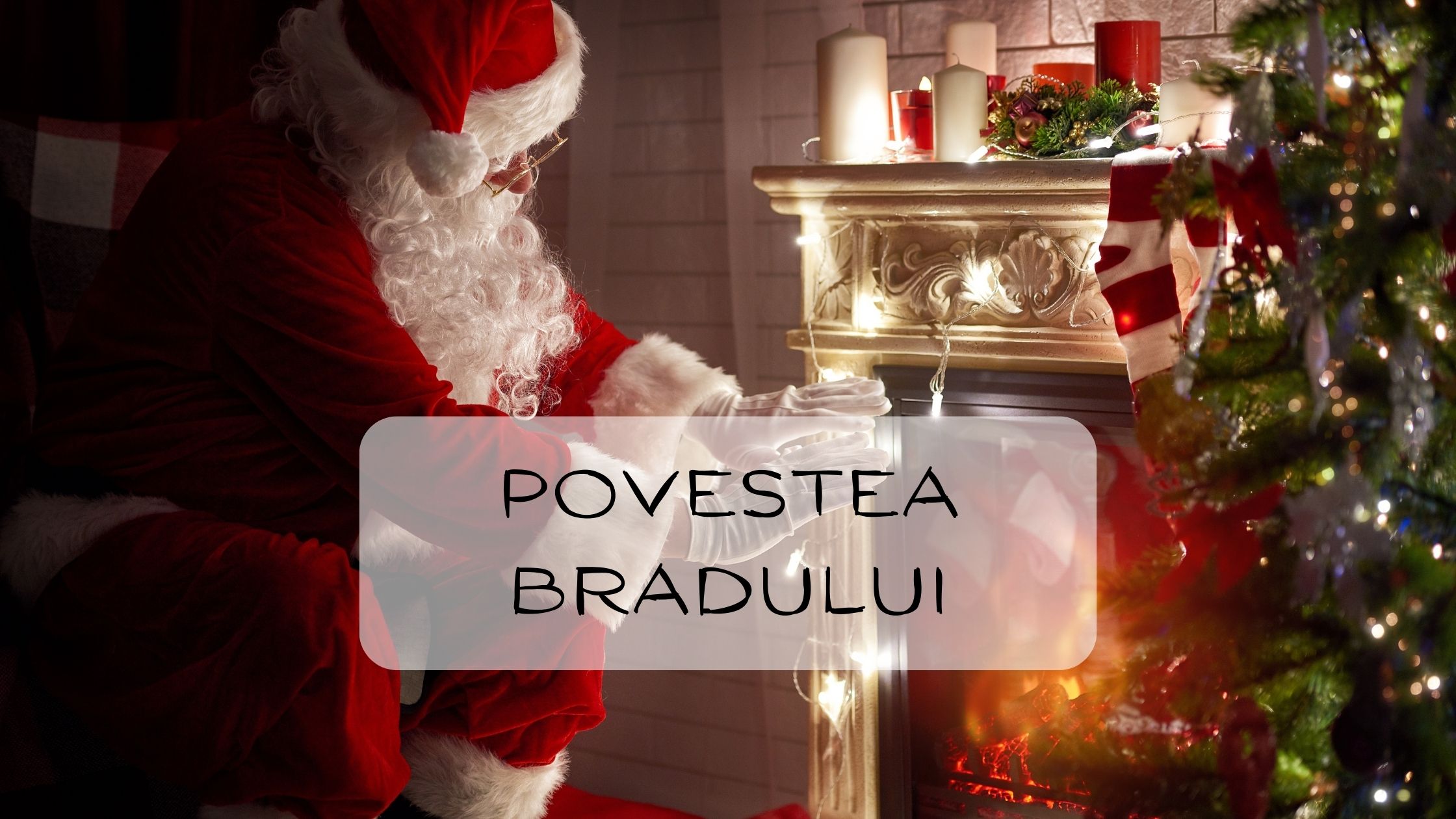 Povestea Bradului de Craciun