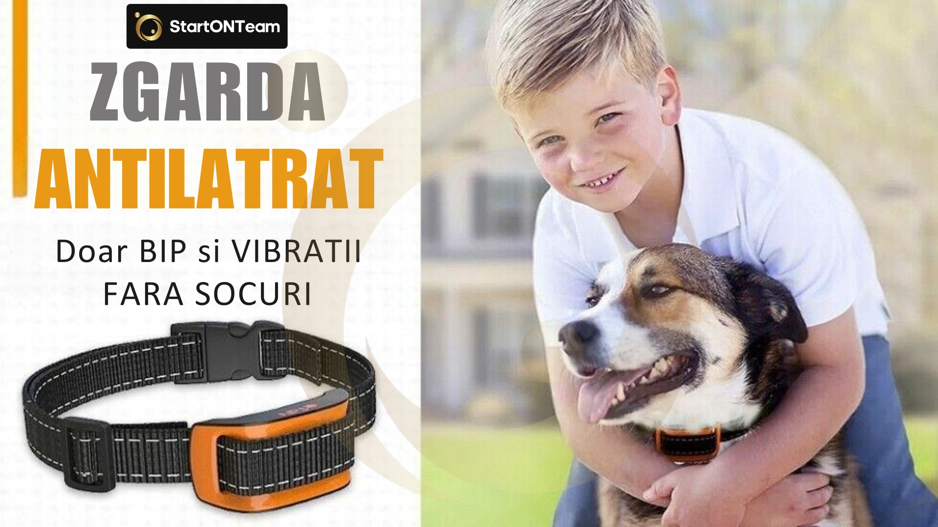 Zgarda Antilatrat Caini Profesionala