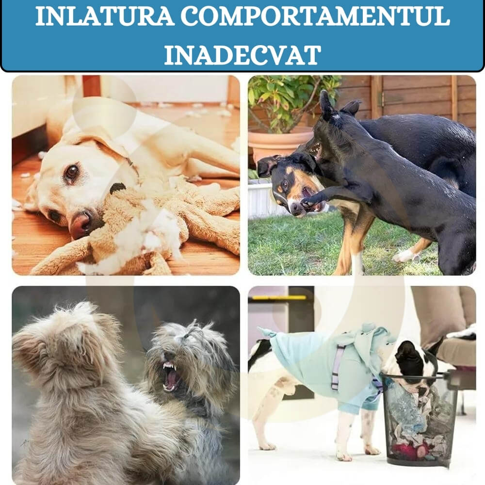 Aparat Anti Latrat cu ultrasunete pentru caini, Profesional 15m, Dispozitiv de control antilatratului cainilor, 3 Nivele Reglabile [11]