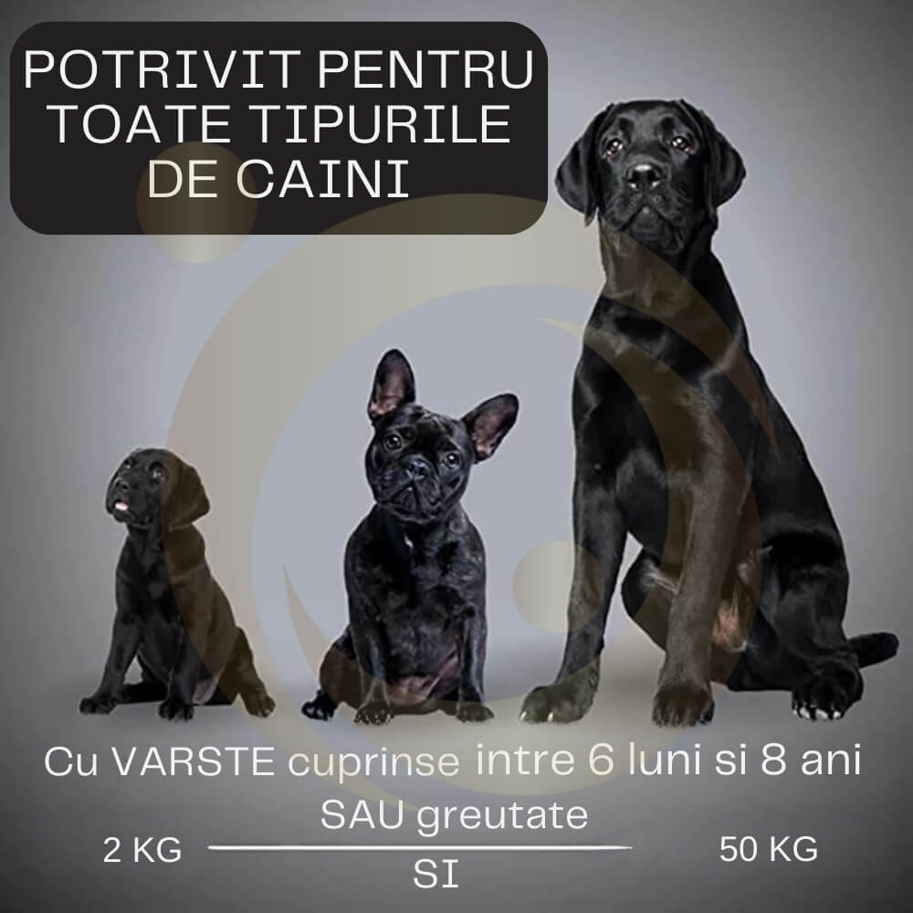 Dispozitiv Profesional Antilatrat cu Ultrasunete pentru Alungat si Speriat Cainii si Pisici [15]