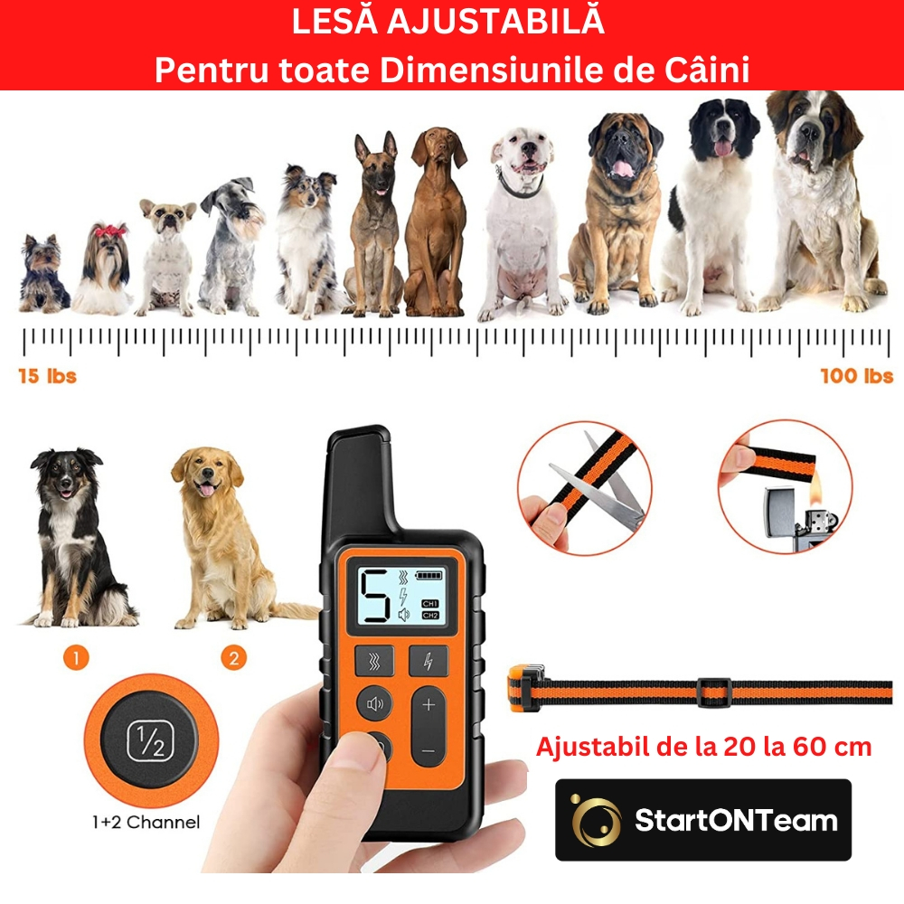 Receptor Negru Zgarda Electrica Antilatrat [7]