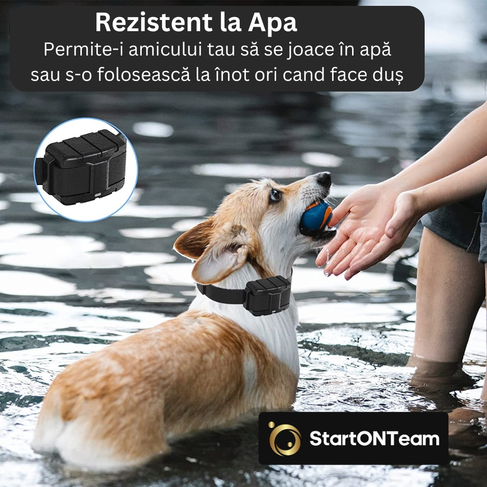Zgardă Electrică Profesională Antilătrat pentru Dresaj [15]