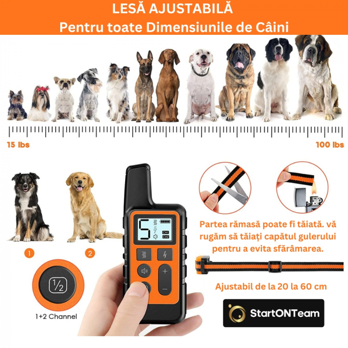 Zgardă Electrică Profesională Antilătrat pentru Dresaj [6]