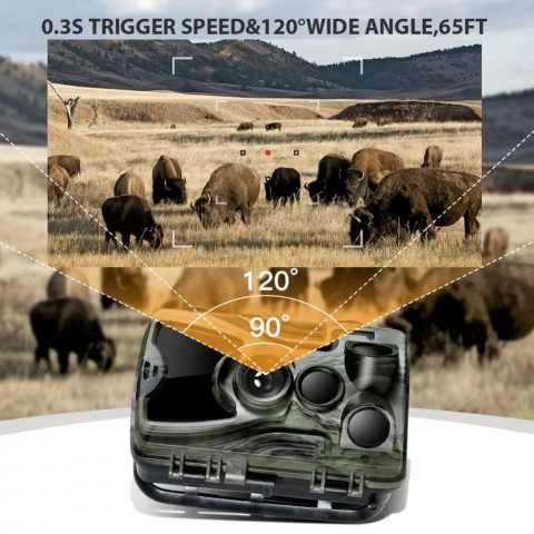 Camera de Vanatoare Full HD, 24MP, Vedere Nocturna, IP65 [3]