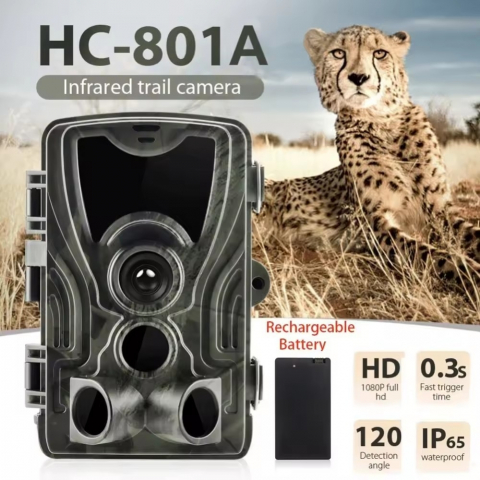 Camera de Vanatoare Full HD, 24MP, Vedere Nocturna, IP65 [6]