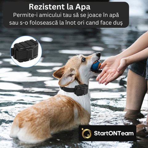 Zgardă Electrică Profesională Antilătrat pentru Dresaj [2]
