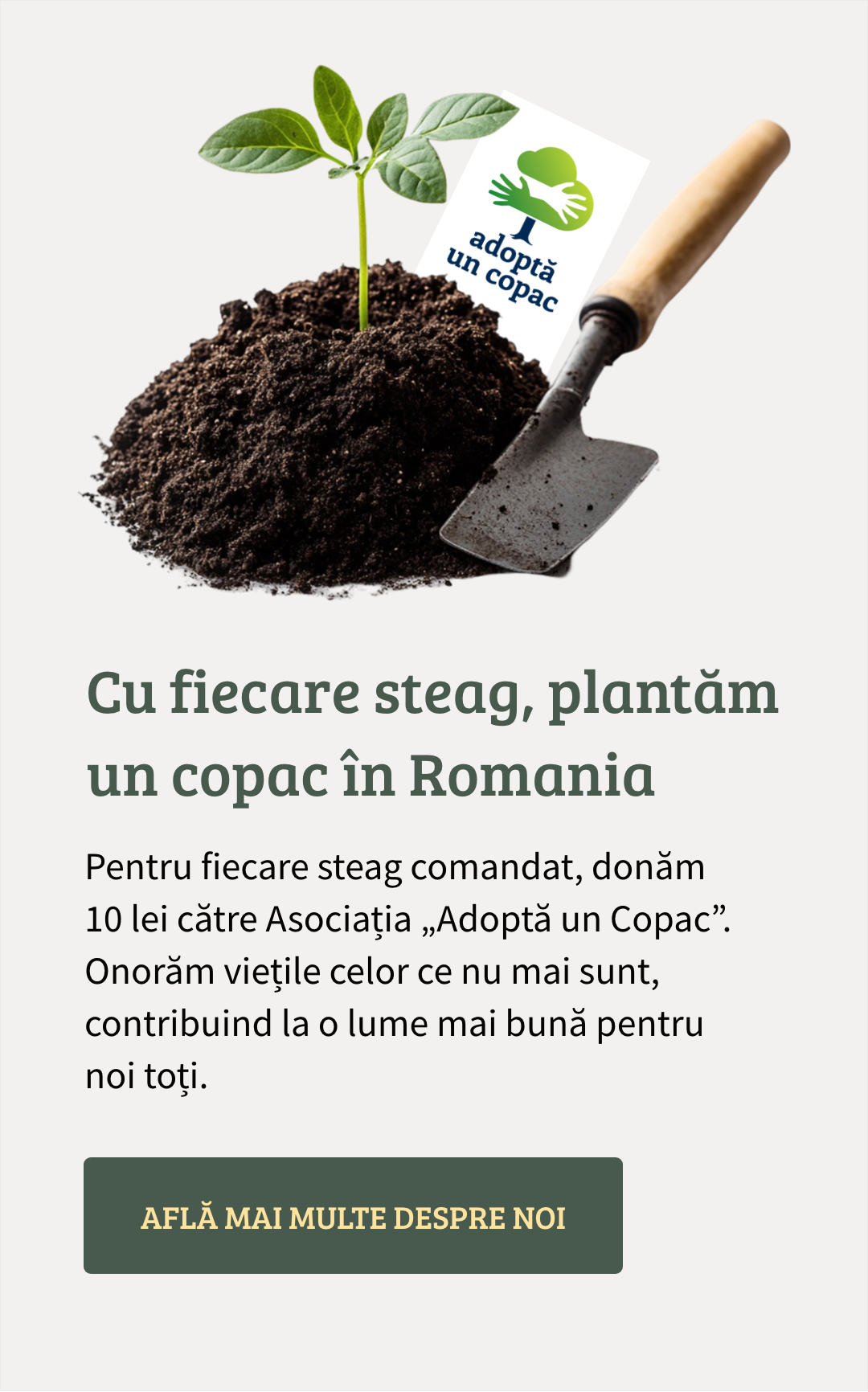 Un omagiu cu ecou