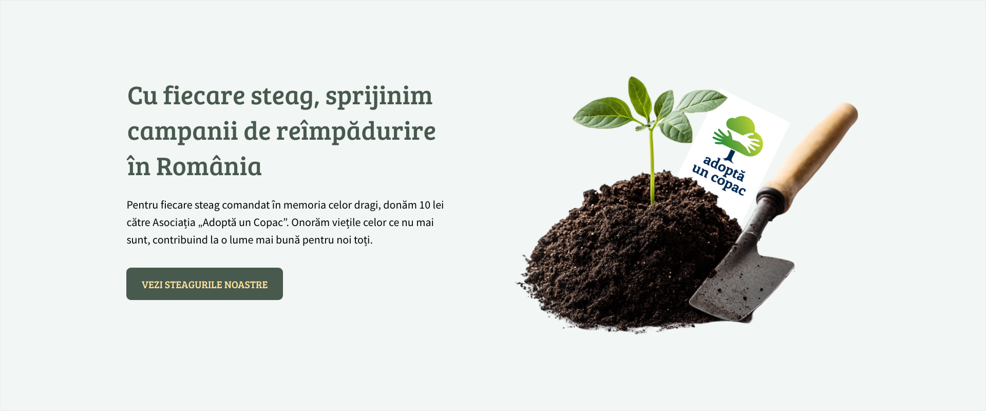 Reîmpădurim împreună