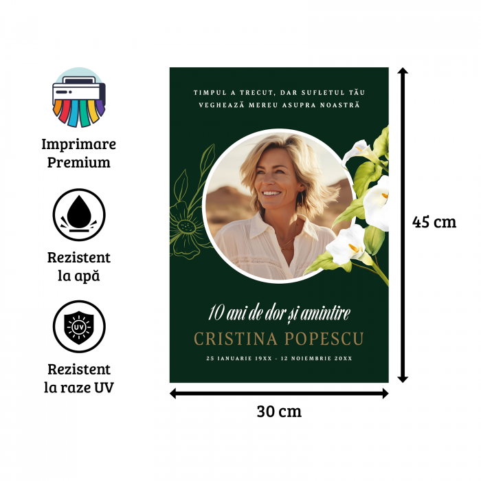 Steag Comemorare -  Model F3 [2]