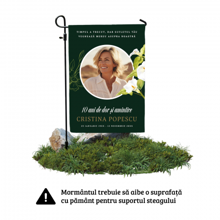 Steag Comemorare -  Model F3 [2]