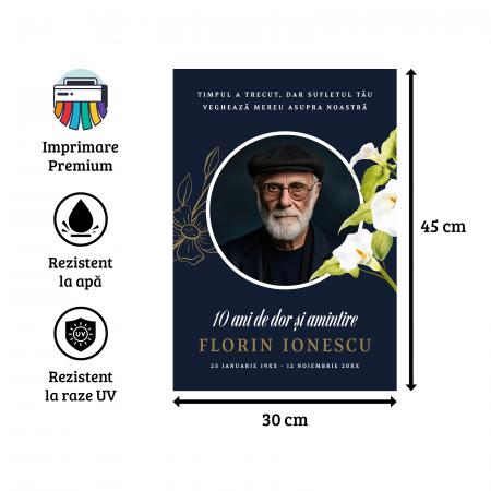 Steag Comemorare - Model M3 [1]