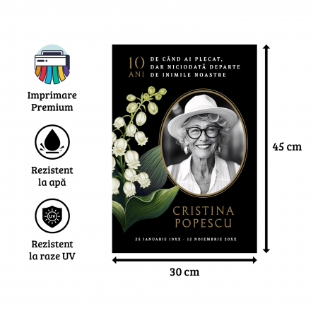 Steag Comemorare - Model F1 [1]