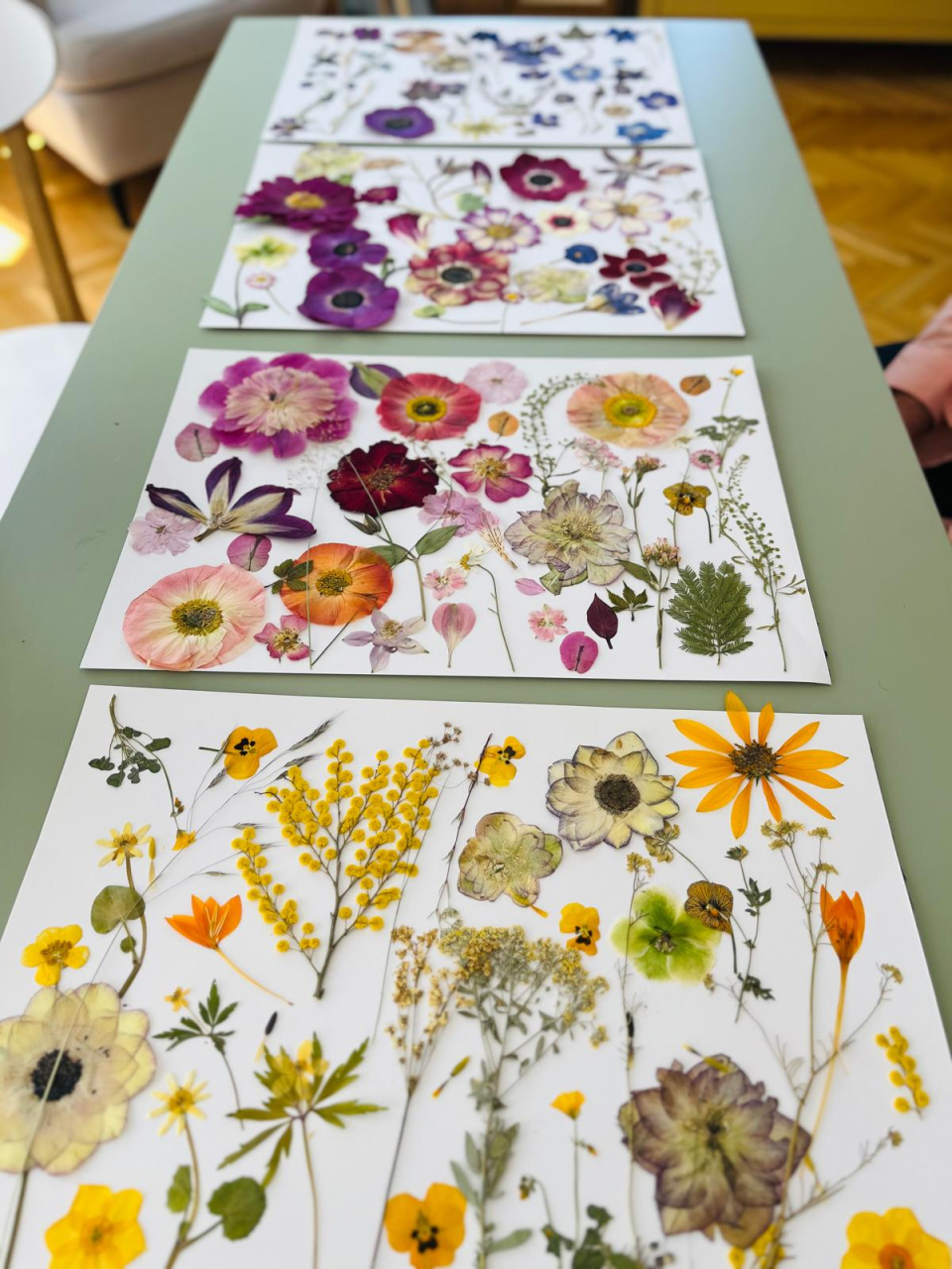 Atelier creativ cu flori presate 17 iunie 2026 - Ototo Station [2]