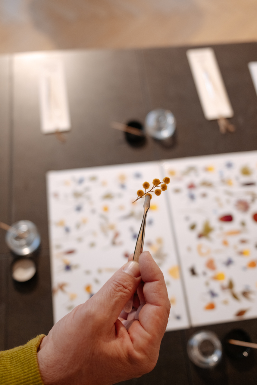 Atelier creativ cu flori presate 17 iunie 2026 - Ototo Station [3]