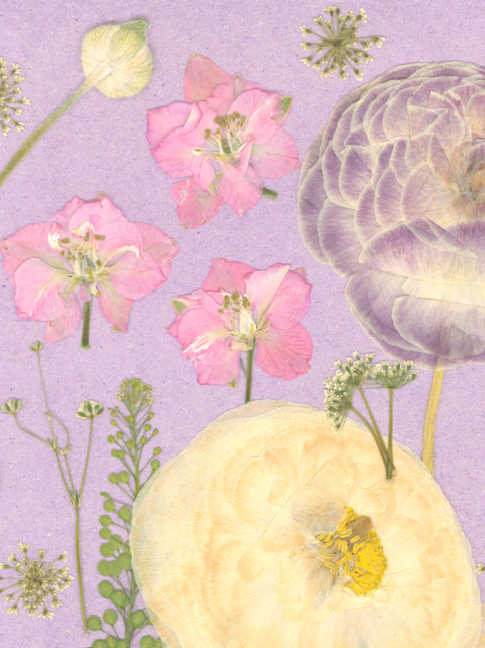 Gradina roz - print de arta cu flori presate traditional, hartie premium, inramat, dimensiuni personalizate, cadou ideal pentru casa [4]