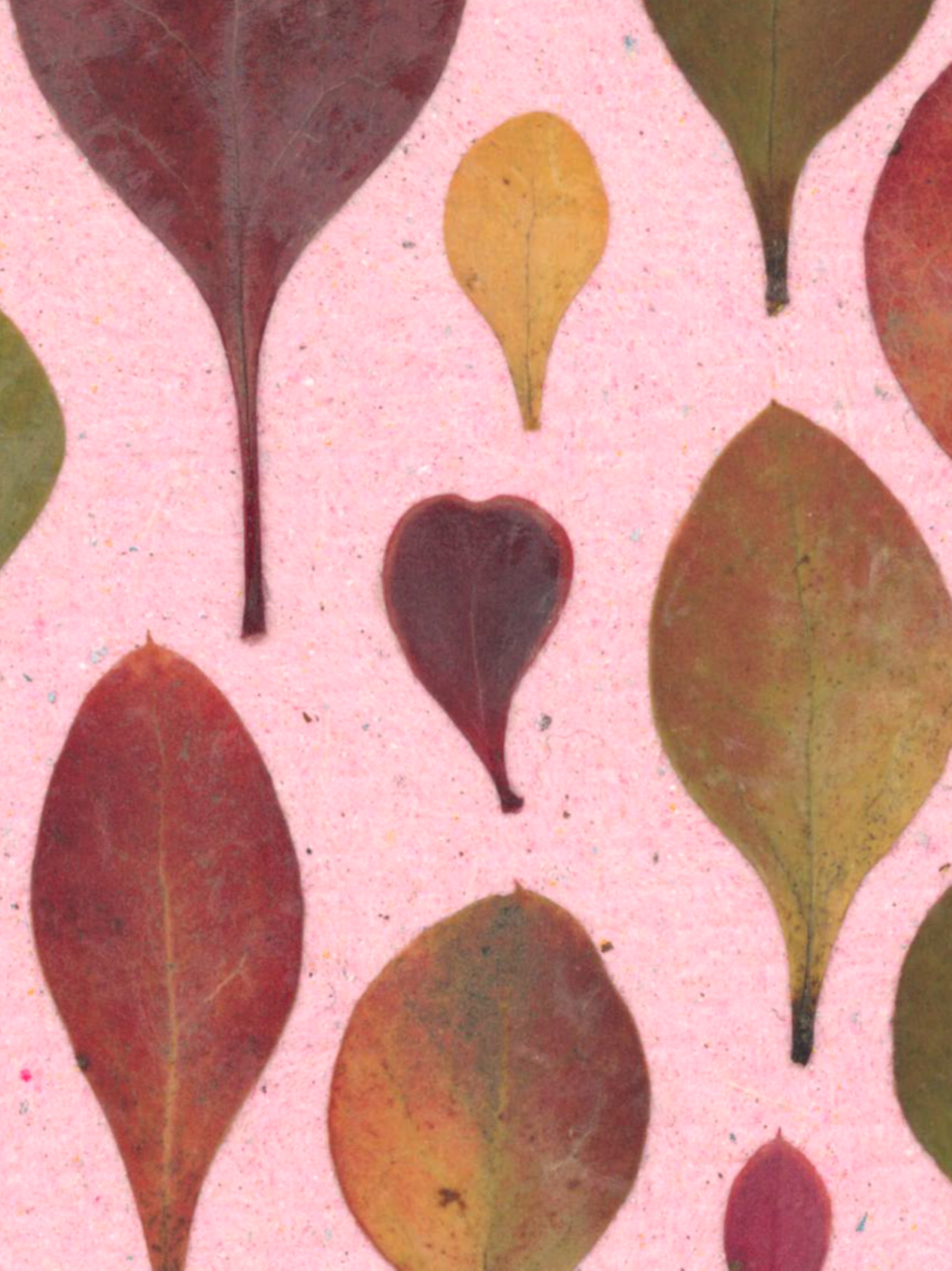 Pastel - print de arta cu flori presate traditional, hartie premium, inramat, dimensiuni personalizate, cadou ideal pentru casa [3]