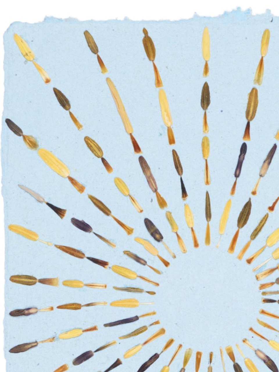 Soare - print de arta cu flori presate traditional, hartie premium, inramat, dimensiuni personalizate, cadou ideal pentru casa [2]