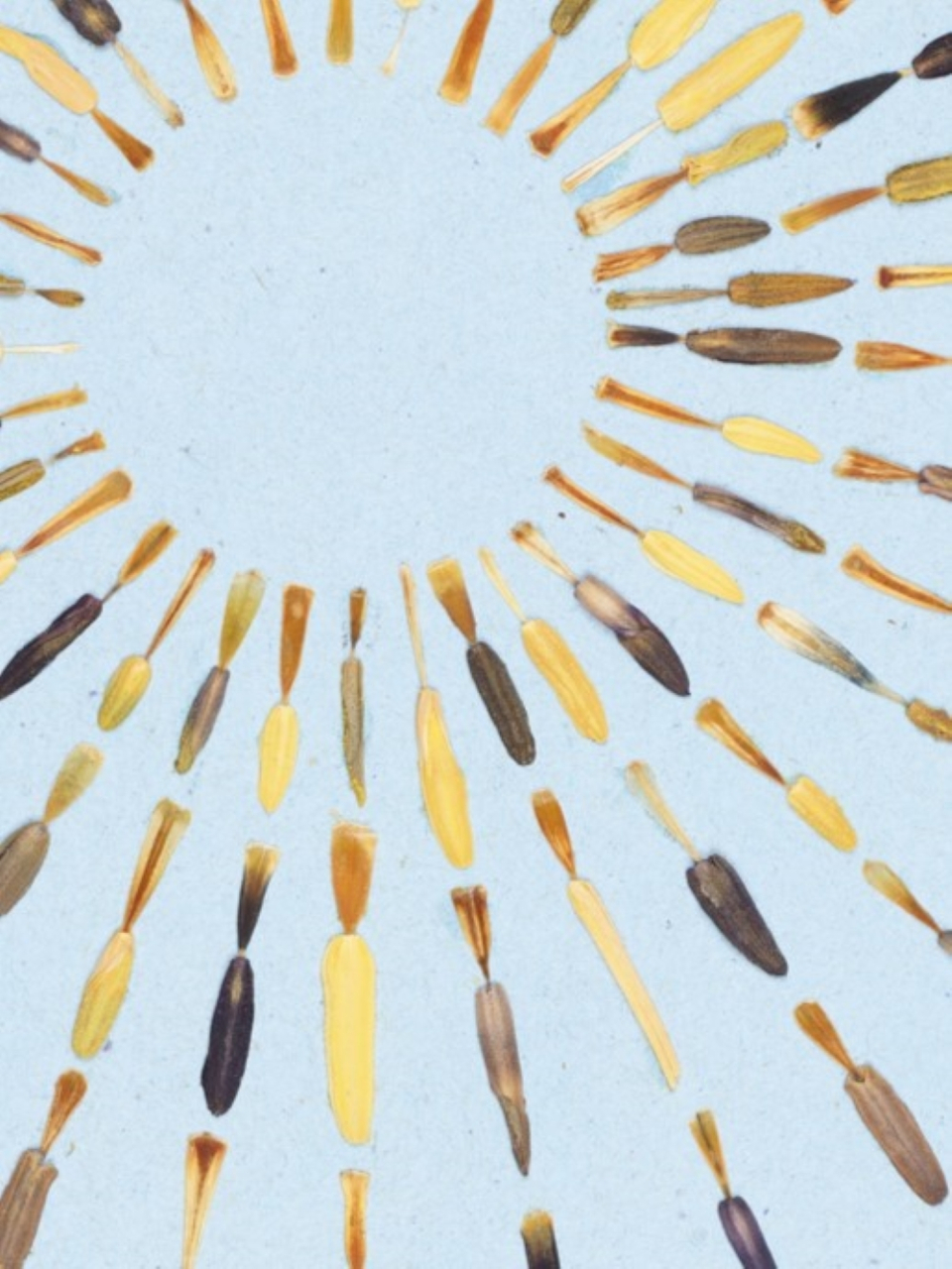 Soare - print de arta cu flori presate traditional, hartie premium, inramat, dimensiuni personalizate, cadou ideal pentru casa [3]